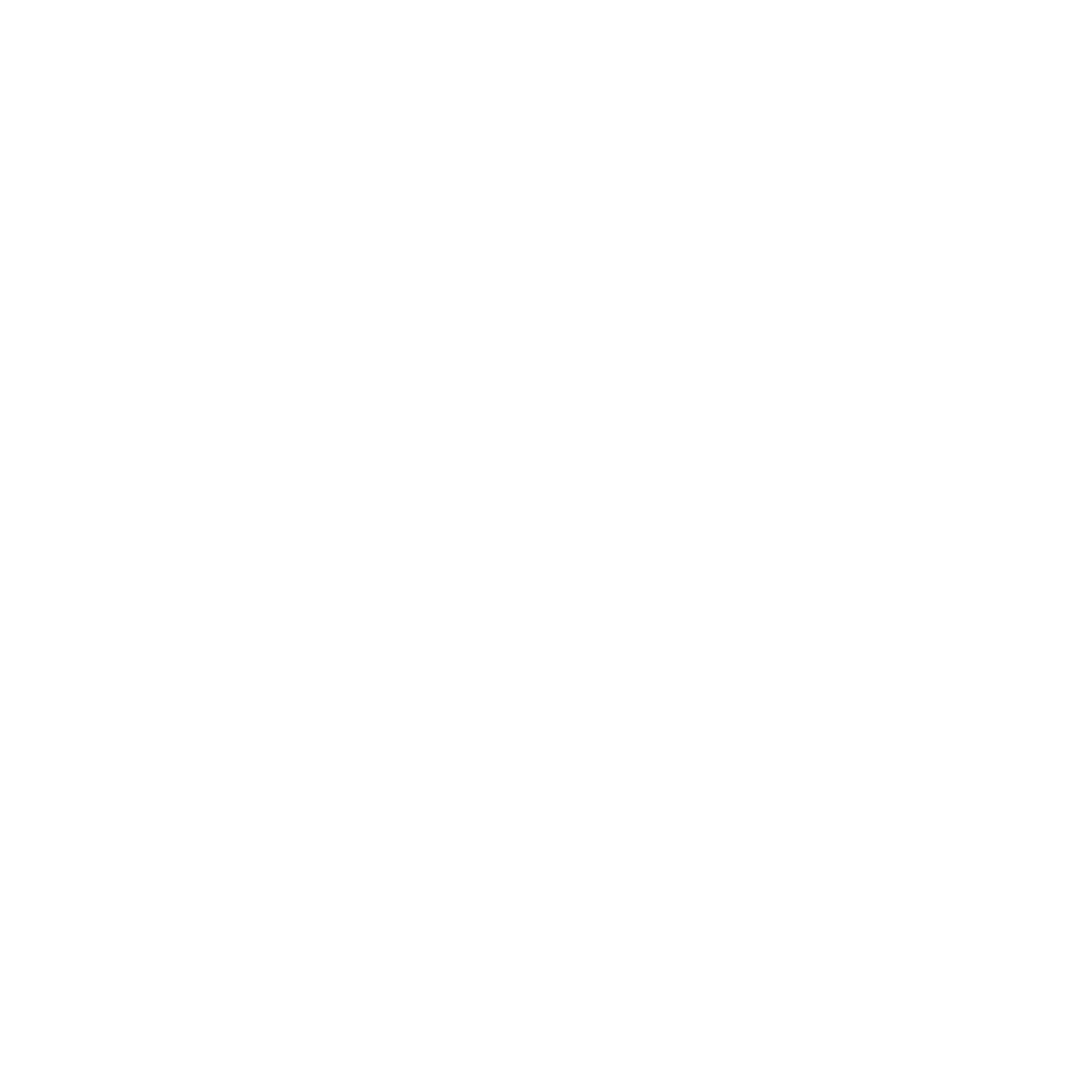 Dynamic Risks — Assess. Adapt. Protect.